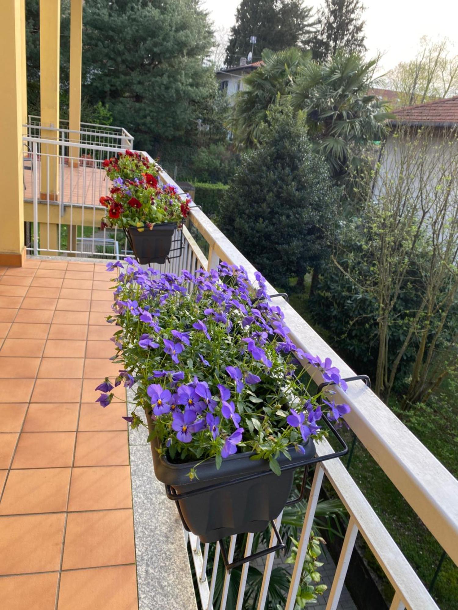 Appartamento Anna Lungo Fiume - Lago Maggiore Sesto Calende Bagian luar foto