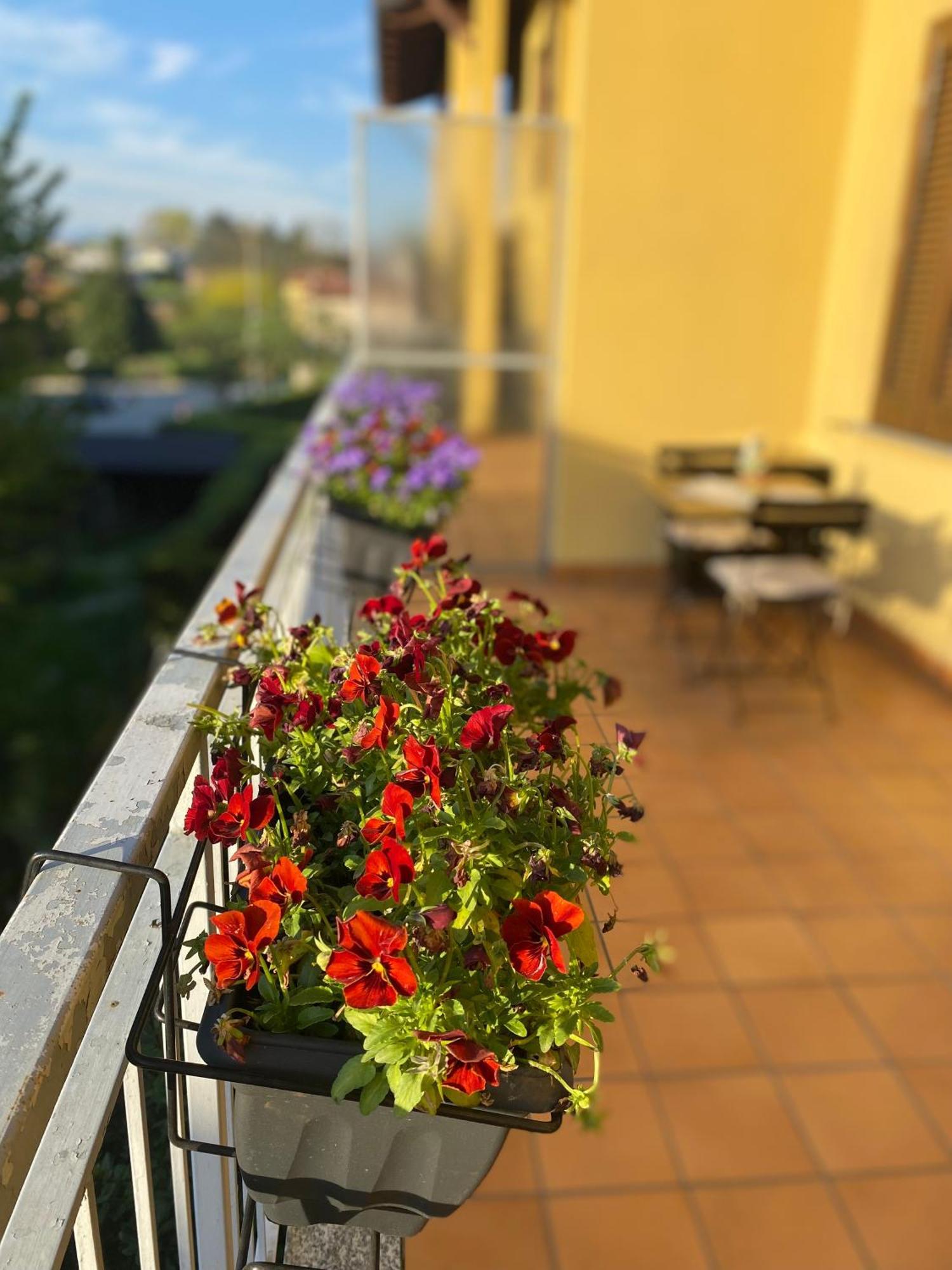 Appartamento Anna Lungo Fiume - Lago Maggiore Sesto Calende Bagian luar foto